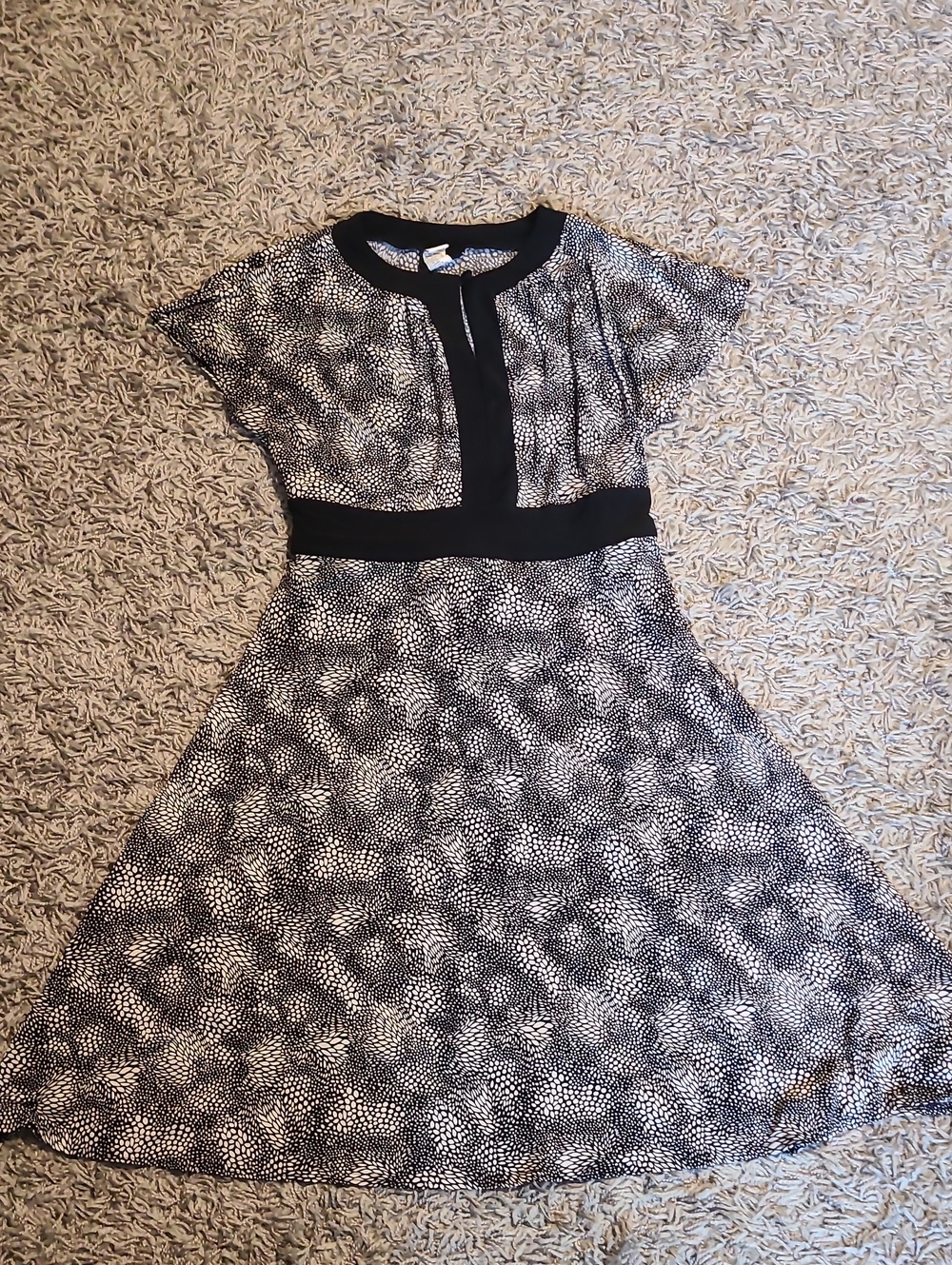 Studio 1940 Black and White Printed Fit-and-Flare Midi Dress